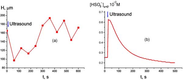 Time dependence of EZ size H at room temperature immediately after ultrasonic irradiation