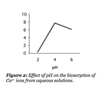 fig2