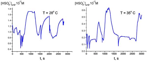 Time dependence of HSO3- bulk concentration at Nafion interface