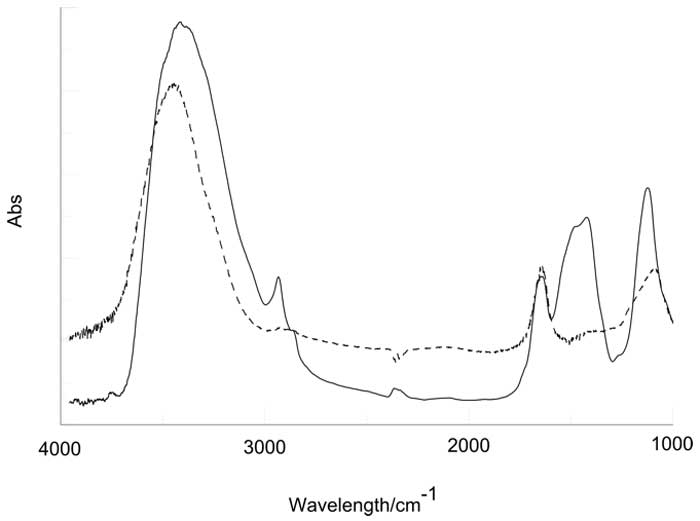 Figure 3: IR spectrum of lyophilized IFW sample (black line). The broken line is the spectrum obtained preparing the pellet with milli-Q water (see text).