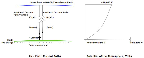 Figure 1: Air-Earth current paths and the Potential of the Atmosphere. The +40,000 V potential of the ionosphere compared to Ground (= Reference Zero* for Voltage measurements) causes a fine-weather air-Earth current I (air), part of which will pass through a tree, I(tree). The electrical resistance of the tree R(tree) will cause a small voltage drop dV(tree) over the height of the tree (see Fig. 2). The right hand figure shows diagrammatically that both the potential and the potential gradient of the atmosphere vary with height; near ground level, the potential gradient is ~365 Volts/metre. Values are taken from Chalmers (1950). V = Voltage; I = Current; R = Resistance; -ve = negative. * Note that the Earth’s surface is negatively charged; taking the Ground as reference zero for potential measurements is merely an arbitrary convention similar to taking the freezing point of water as the reference zero for temperature measurements in the Celsius scale. 