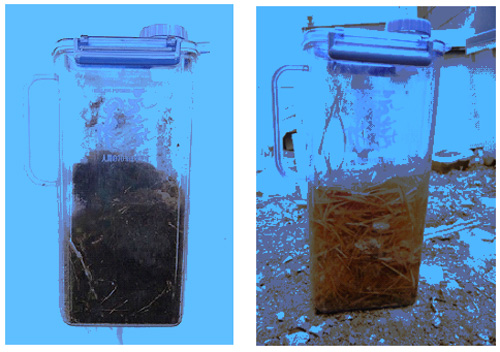 Figure 1: Activated pot (1.9 L) containing contaminated soils (left) or withered grasses (right) together with water. 
