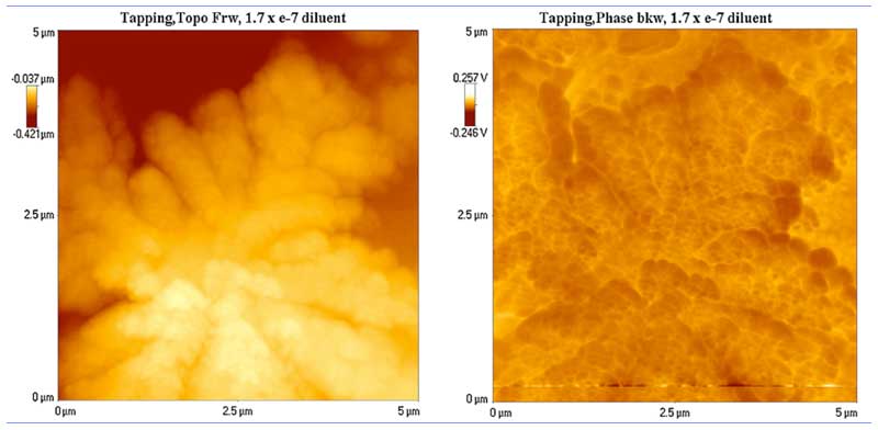 Figure 3: Surface contours (left) and electrical potential (right) of a large water cluster (rearranged from Lo S-Y et al., 2009).