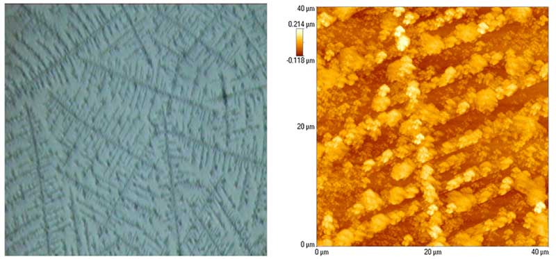 Figure 4: Large array seen under the ordinary light microscope (left) and atomic force microscope (right) (rearranged from Lo S-Y et al., 2009).