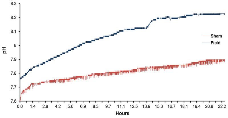 Figure 2: Typical record of successive, slow shift in pH as a function of time (12 hr) for spring water exposed to either the sham field condition or to the temporally patterned magnetic field.