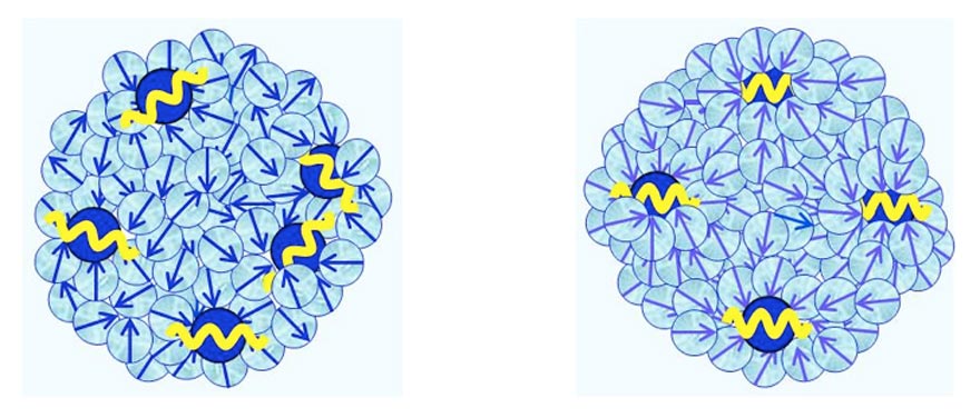 Figure 3 a-b: Schematic pictures of, respectively, CDplasma, and IPDplasma and their internal structures. Blue balls symbolizes solute molecules, with their yellow cosine curves symbolizing their plasma oscillations. For IPDplasma these oscillations are in-phase, for CDplasma these are just coherent. Light-blue colored balls symbolize polar solvent molecules. Their blue arrows symbolize their electric dipole moments. In IPDplasma these dipoles are spherically symmetric oriented around their nearest neighbor solute molecule. In CDplasma only the dipoles of H2O constituting the hydration shell are spherically symmetric oriented; all non-hydration shell solvent molecules are oriented randomly.