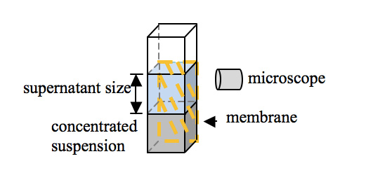 Figure 1: Schematic diagram of the microscope observation setup.